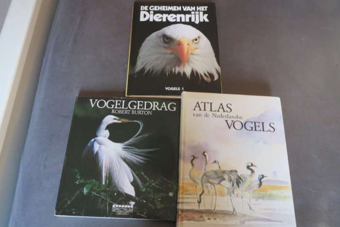 vogelboeken te koop