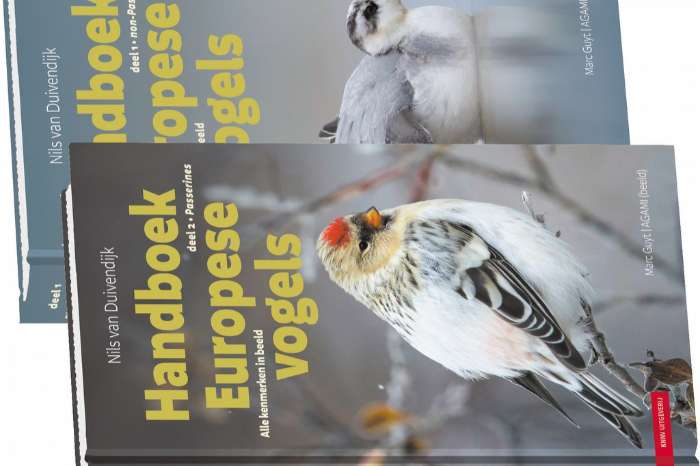 handboek europese vogels – alle kenmerken in beeld
