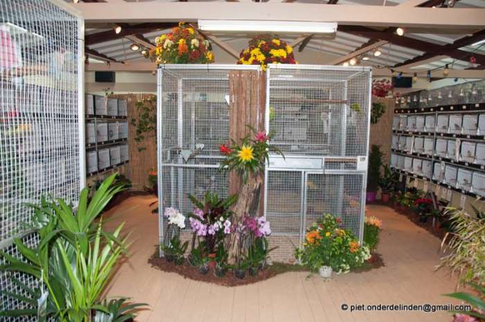 vogelshow in maasland