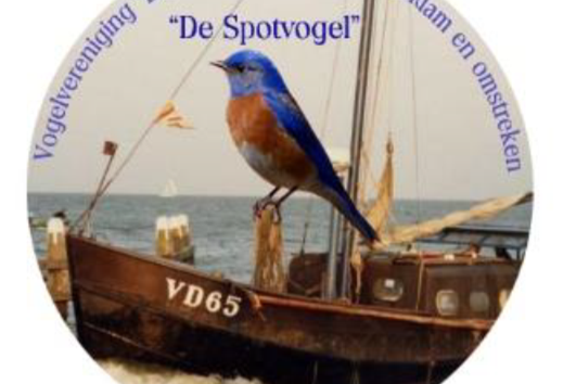 vogeltentoonstelling v.v. de spotvogel volendam