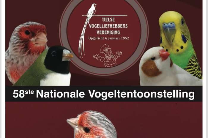 58ste nationale tentoonstelling  tielse vogelliefhebbers 2024