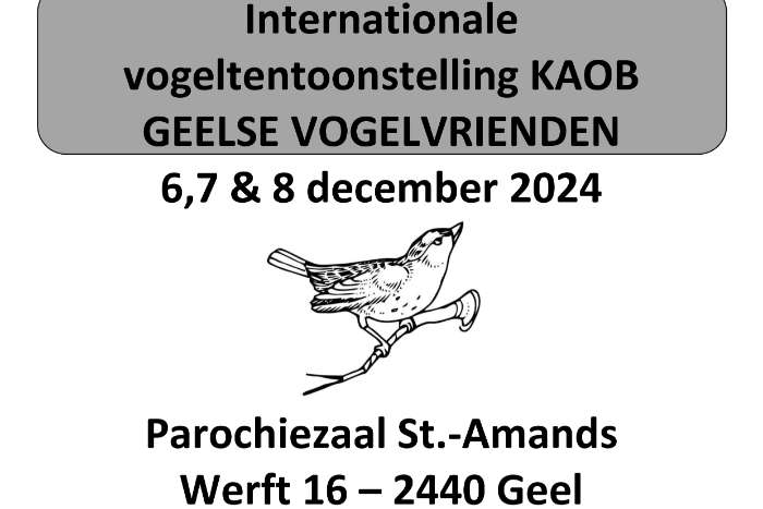 vogeltentoonstelling de geelse vogelvrienden