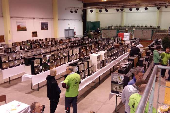 internationale bird show en vogelbeurs