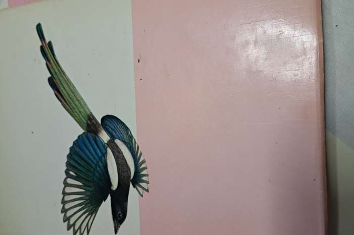 zangvogels