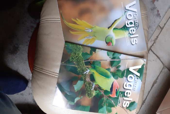 zo'n 30 tijdschriften