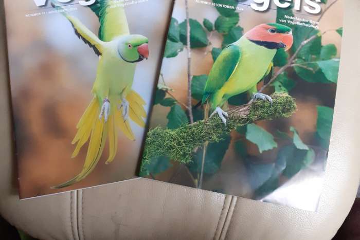 zo'n 30 tijdschriften 