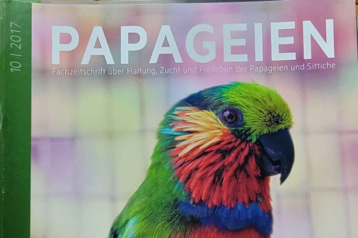papageien – zeitschrift über papageien sittiche
