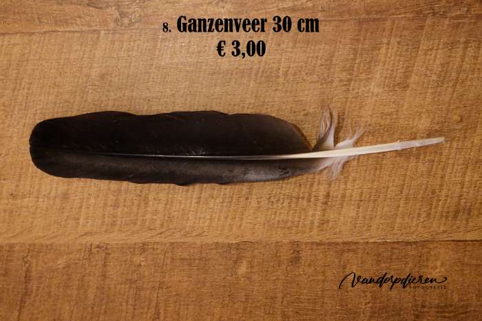 fazanten veren(4)