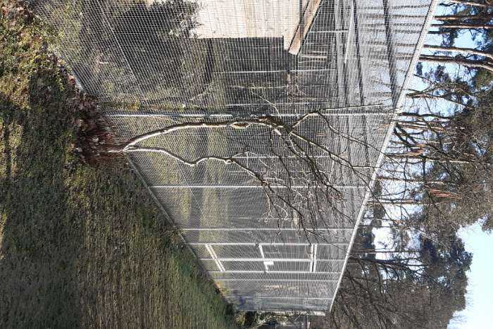 volières