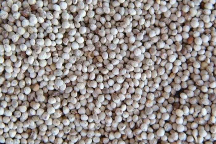 perilla wit 1kg