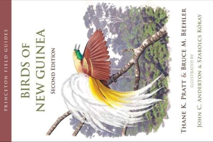 birds of new guinea
