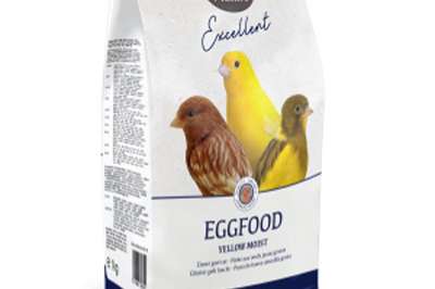 deli nature eivoer  bij geon