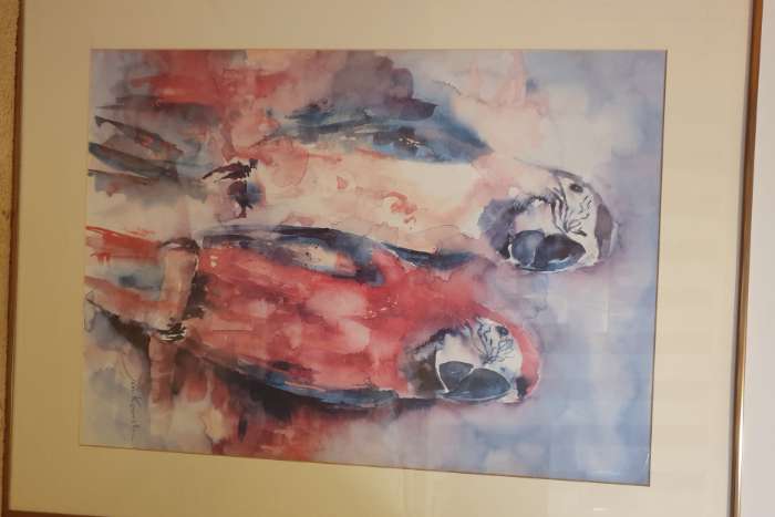 aquarel jan kooistra  papegaaien