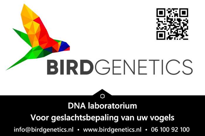 dna geslachtsbepaling vogels
