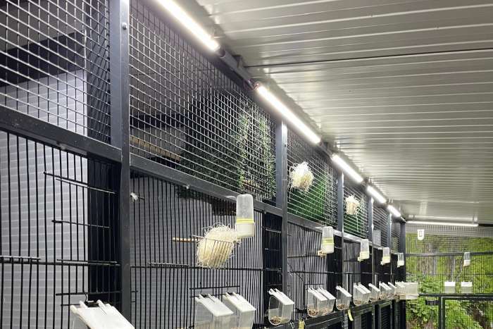aluminium led tubes in 17-32-52-72-100 cm lengte