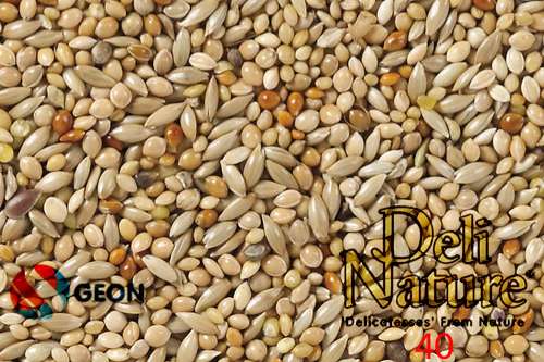 deli nature basis exoten nummer 40