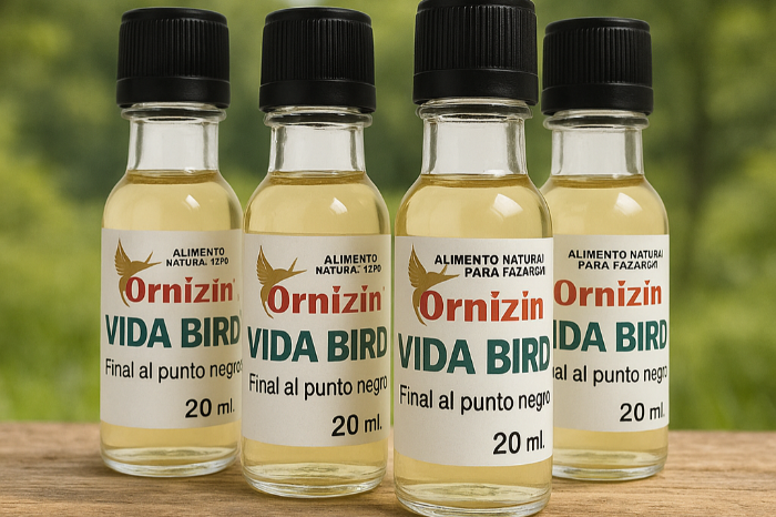 vida bird, super start up en meer..