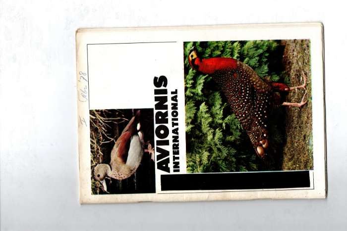 aviornis magazines