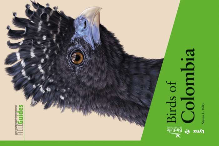 birds of colombia