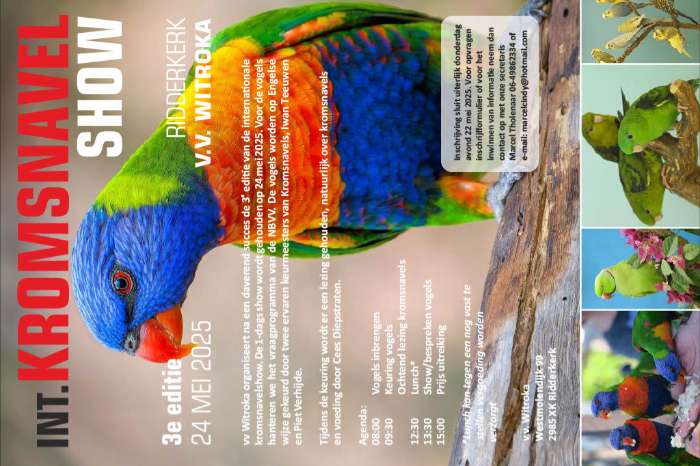 kromsnavel show 24 mei