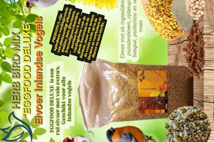 eggfood deluxe 21% eiwitten ( + paardenbloem, biergist, zijd