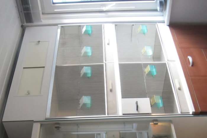 gehu broedkooien inclusief ledverlichting en dimmer
