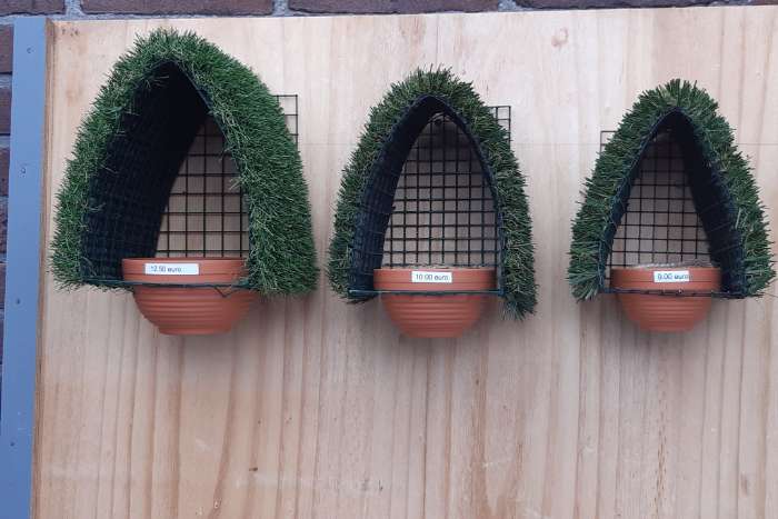 vogelnesten europese vogels,