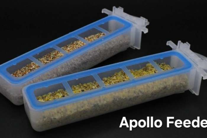 apollo feeder - moldes ave
