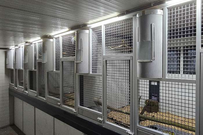 led installatie op maat voor uw vogelkooi(en)