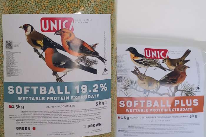 softball green-->ideale kiemzaadvervanger & plus-->met insecten