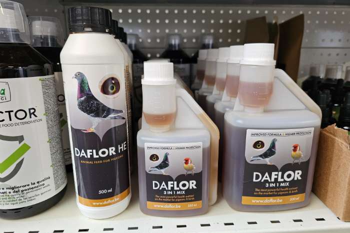 daflor the most powerful healt extract