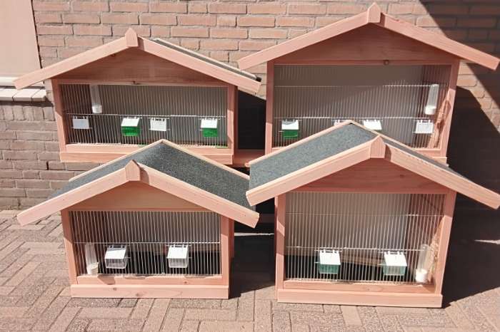 vogel kooien