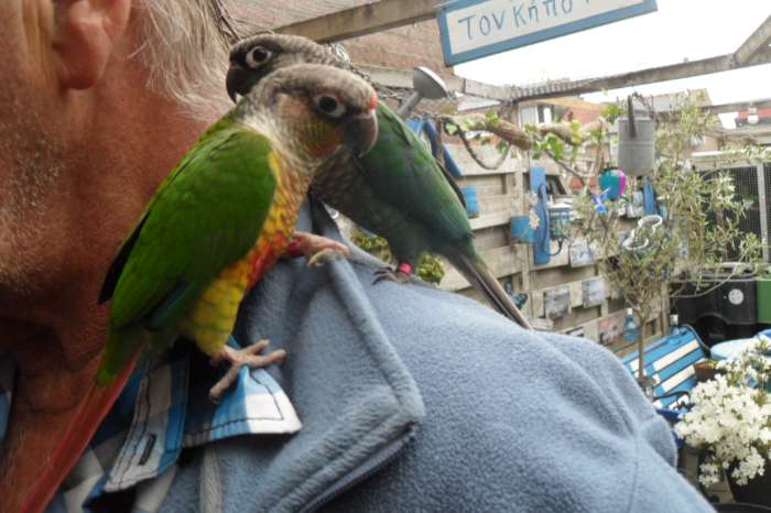 nog wat leuke vogeltjes