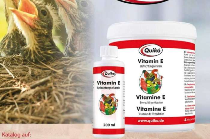 quiko vit e 100ml ( kweek en vruchtbaarheid ) winkel en webs
