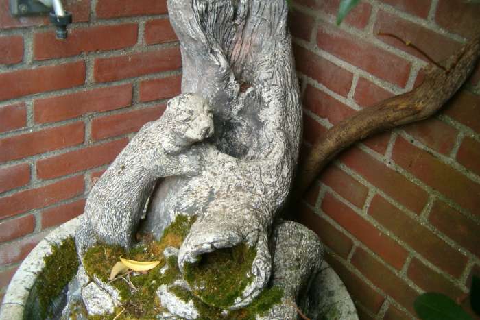 prachtige doorleefd waterornament met pompje