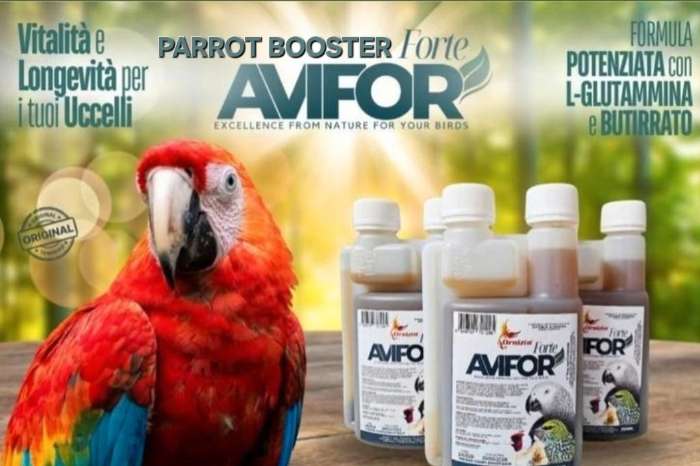 parrot booster 250ml ornizìn