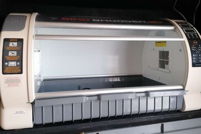 couveuse rcom  bird brooder