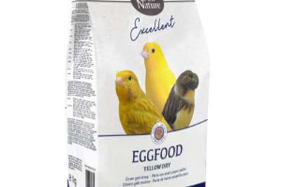 deli nature eivoer  bij geon