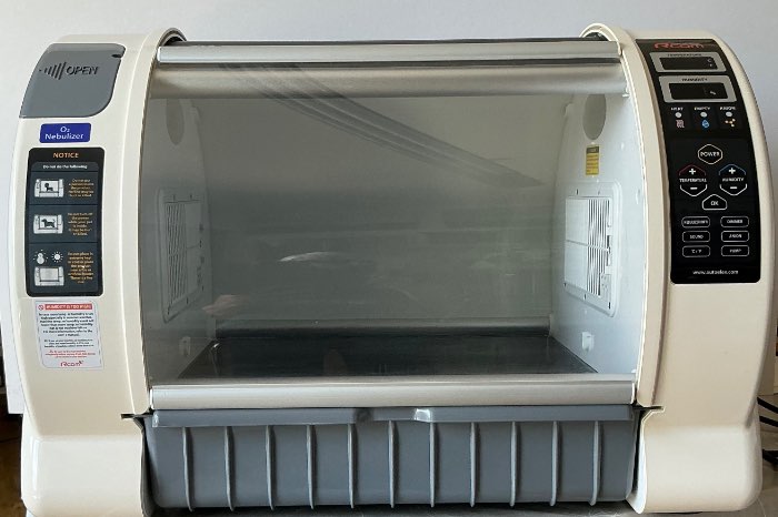 room bird brooder (couveuse)
