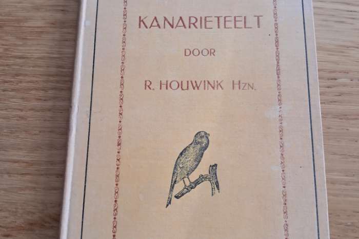 kanarie