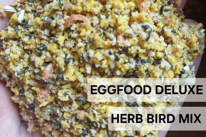 eggfood deluxe 21% eiwitten ( + paardenbloem, biergist, zijd
