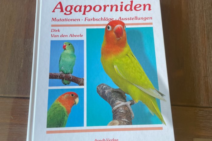 agaporniden