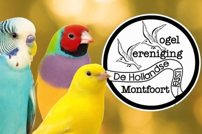 vooraanmelding regio vogeltentoonstelling montfoort 2025