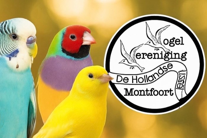 vooraanmelding regio vogeltentoonstelling montfoort 2025