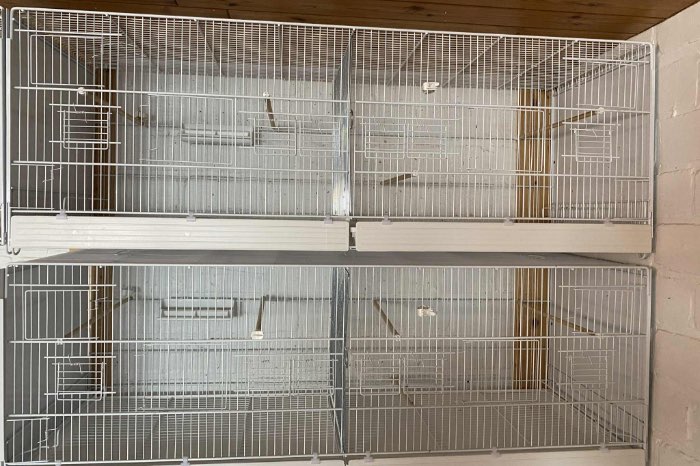 3 kooien domus molinari 120 x 40 x 40