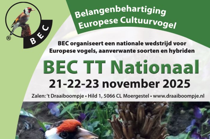 bec tt nationaal 21 t/m 23 november