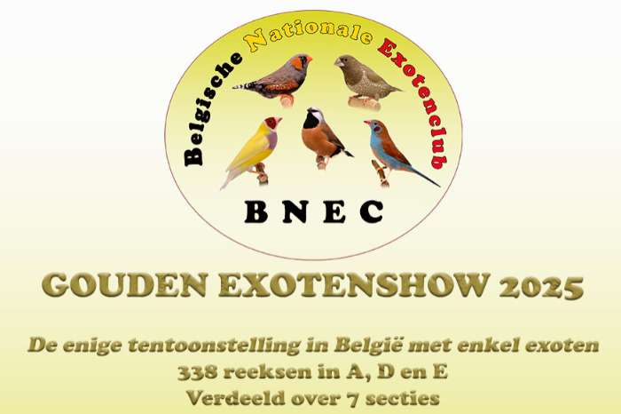vogelshow  bnec