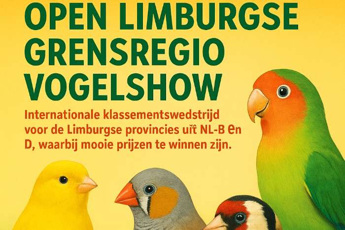 open limburgse grensregio vogelshow 