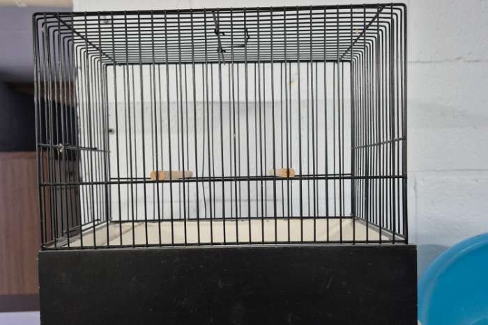 9 cages pour frisé parisien