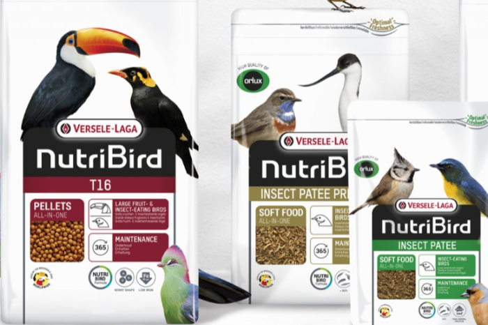 unipate / slaats / f16 / t16 @ vogelmarket aviornis geel 04/10